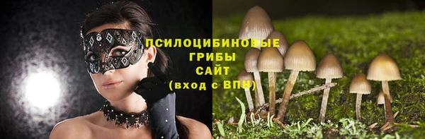 гидра Вязники