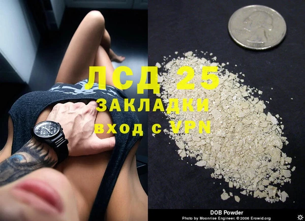 гидра Вязники