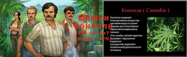СК Вяземский