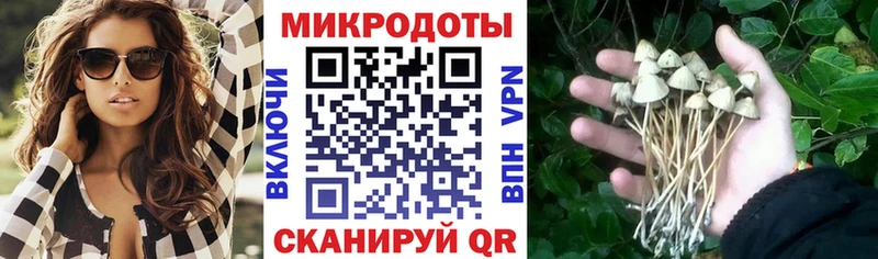 Галлюциногенные грибы прущие грибы  Салаир 