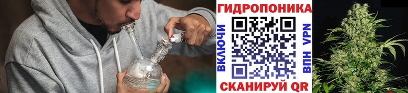 Марихуана индика  Салаир 